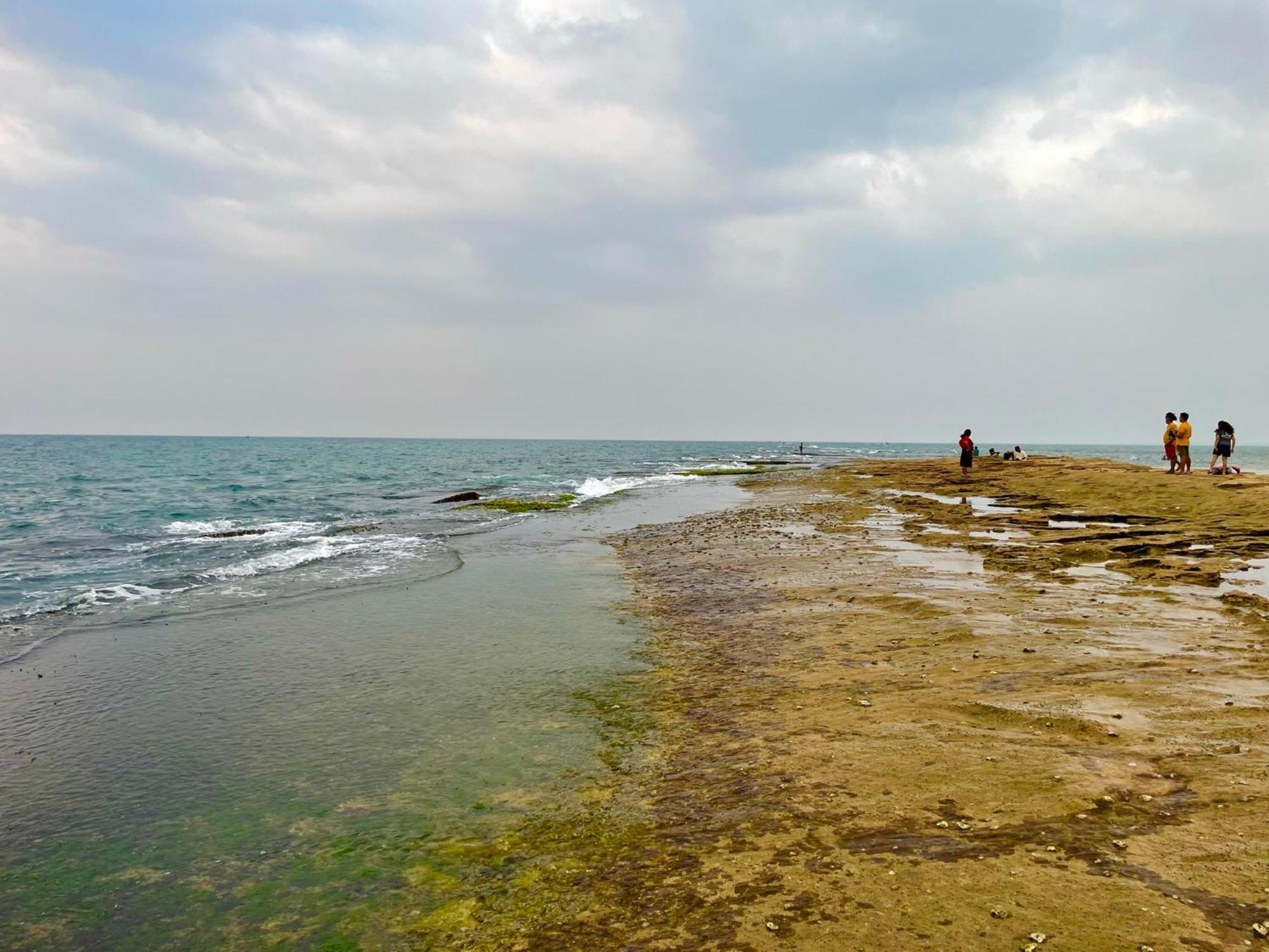 Negombo Morawala Beach Villa Luaran gambar